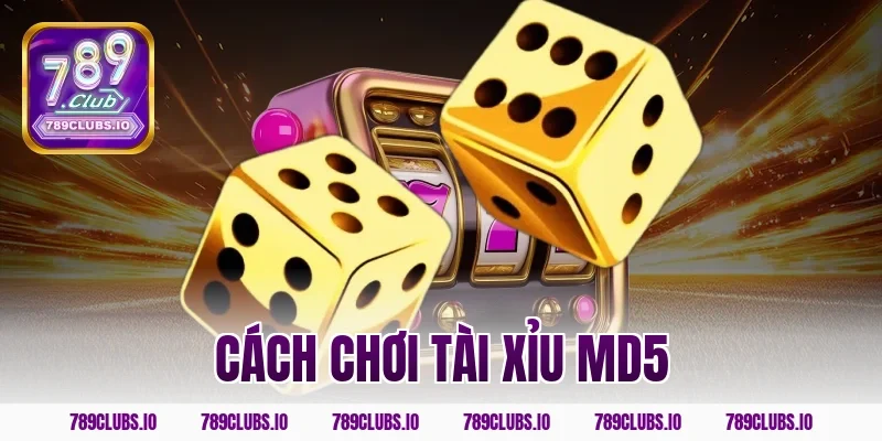 cách chơi tài xỉu md5